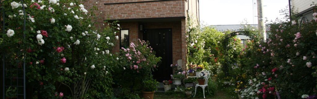 ジェニーギャルソン グリーン系ワンピース | グリーンキャンドル